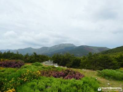 Pico del Lobo - Sierra de Ayllón; excursiones de fin de semana desde madrid lagos de covadonga nieve